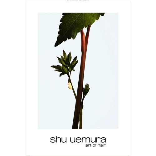 ashita supreme intense revitalization treatment - Shu Uemura Pro | L'Or&eacute;al Partner Shop