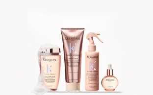genesis homme